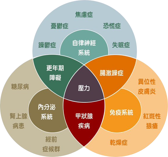 自律神經,SGB,星狀神經節阻斷術,失眠,憂鬱.焦慮,恐慌,壓力,腸躁症,更年期,內分泌失調,異位性皮膚炎 自律神經,SGB,星狀神經節阻斷術,失眠,憂鬱.焦慮,恐慌,壓力,腸躁症,更年期,內分泌失調,異位性皮膚炎